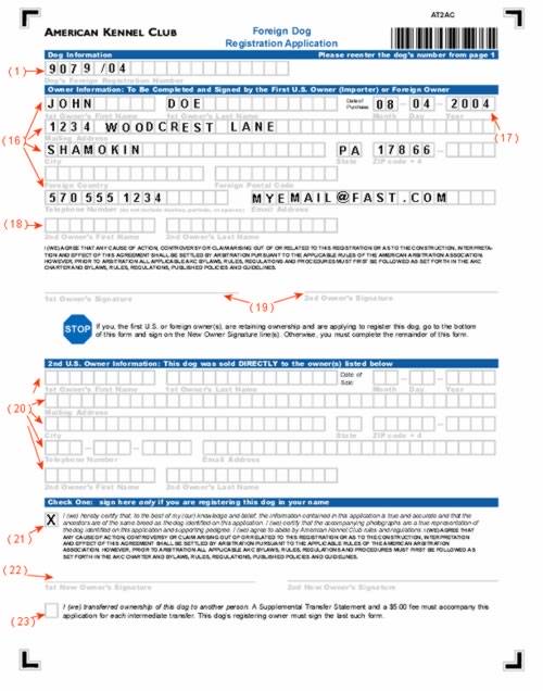 can you register a pitbull with akc