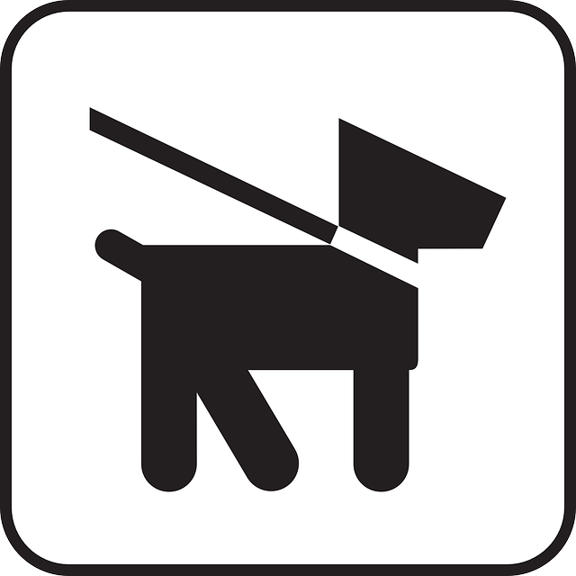 dog leash rules
