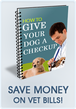 https://www.europuppy.com/euro_puppy_ebooks/give-your-dog-a-checkup-buy-now/