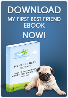 https://www.europuppy.com/euro_puppy_ebooks/my-first-best-friend-free-download/