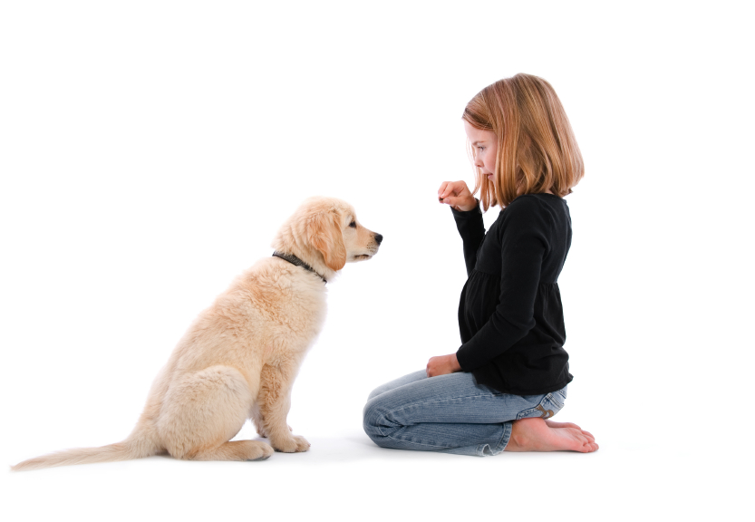 how_dogs_can_help_teach_your_child_responsibility