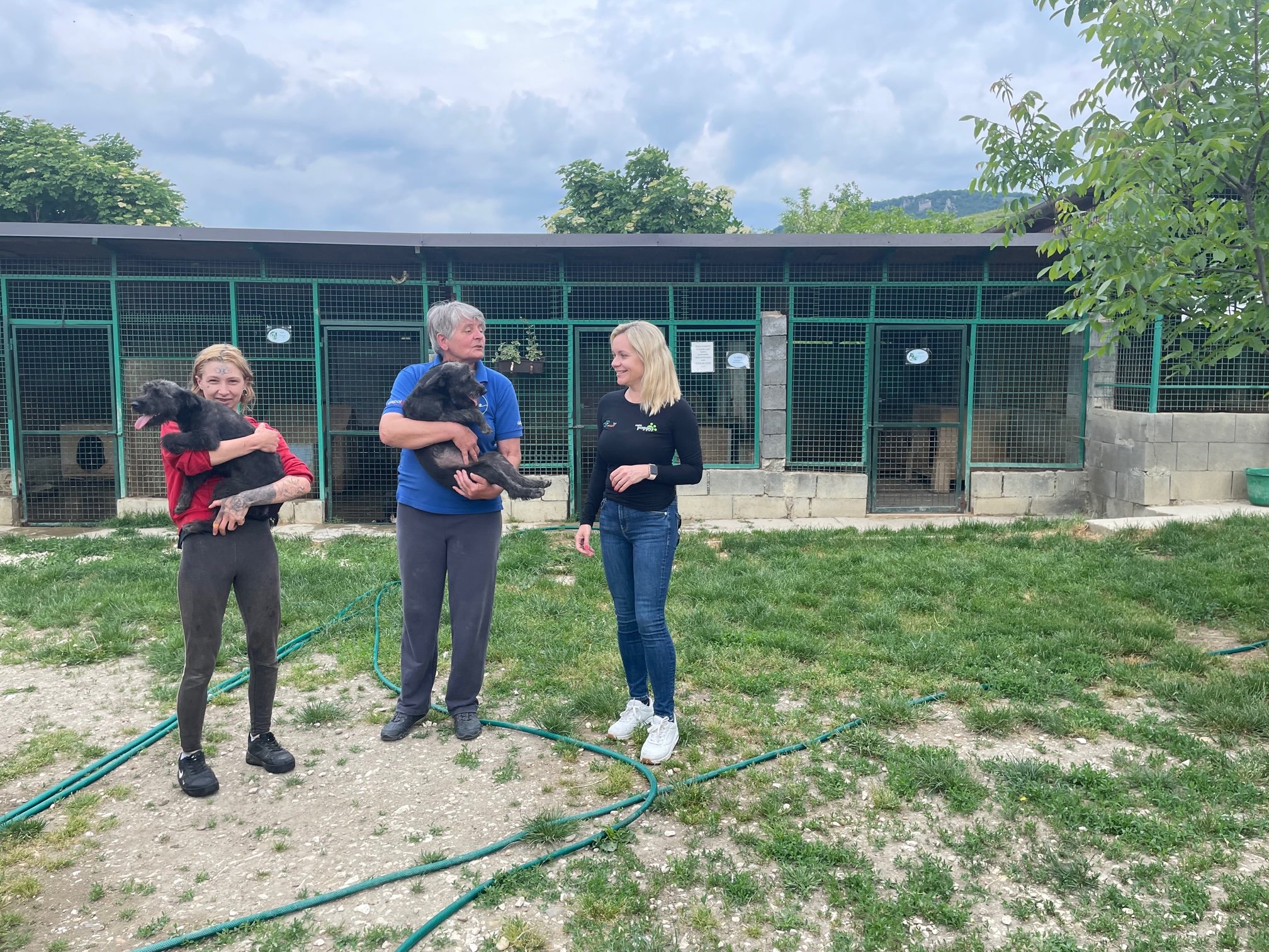 EuroPuppy dog shelter