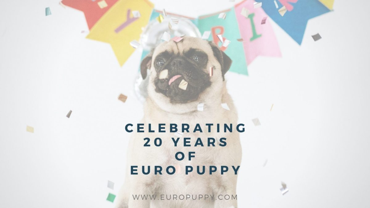 Euro Puppy at 20!