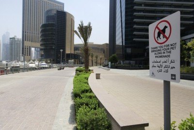 dubai dog park