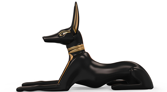 ancient dog