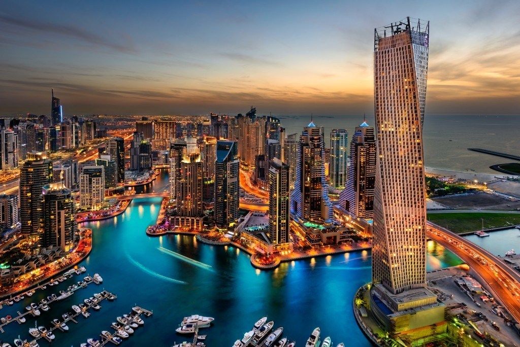 The Rising Popularity of Dogs in Dubai and the Emirates