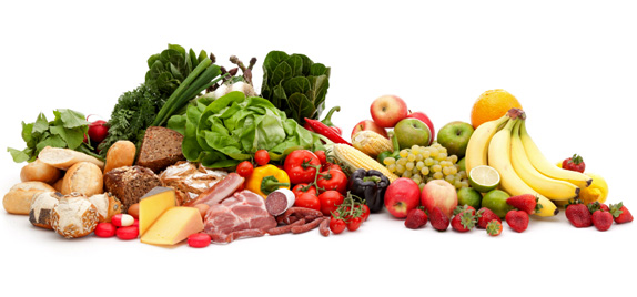 Dog Nutrition Tips: The Essential Nutrients your Dog Needs for a healthy Diet
