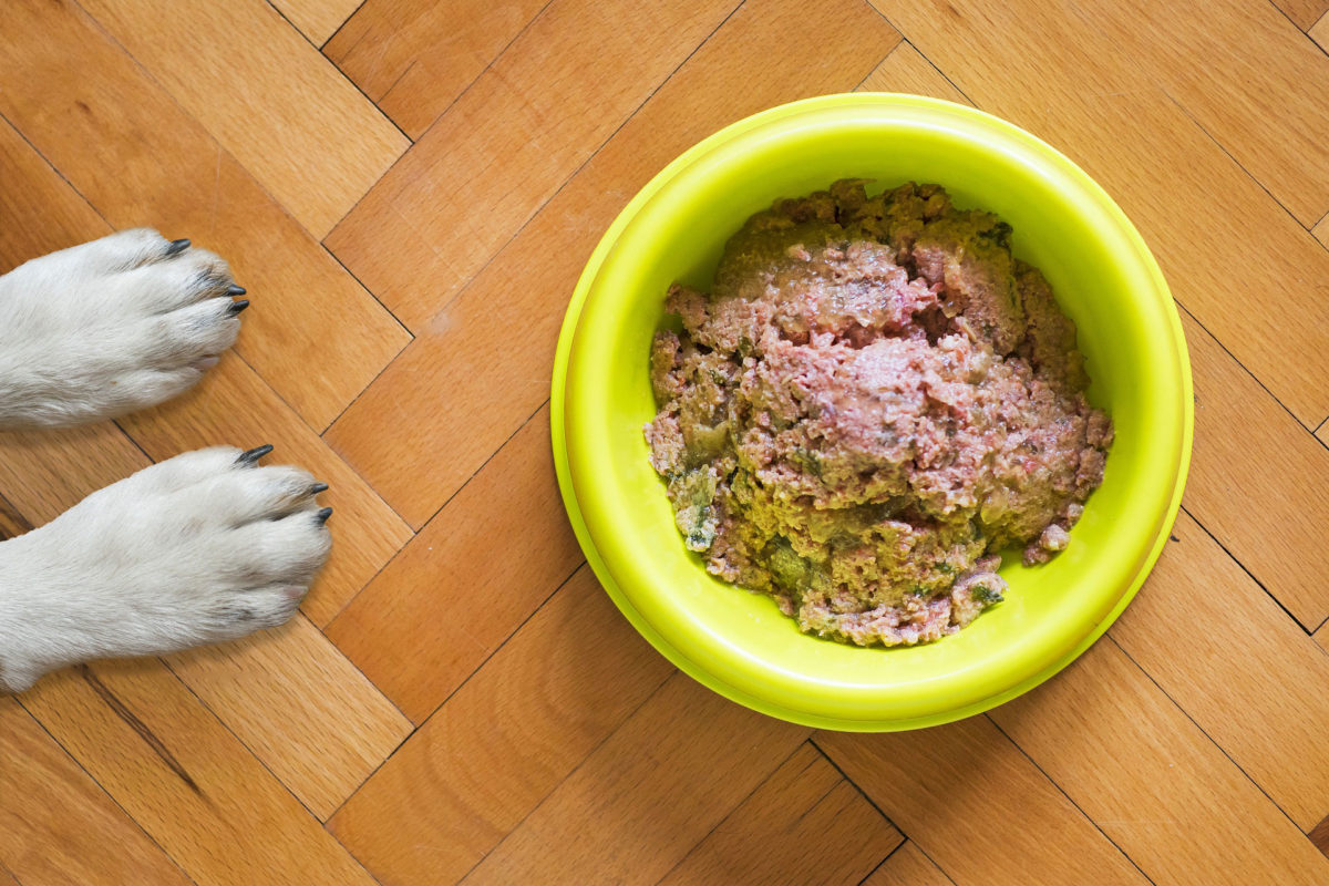 Dog Food Toppers: Everything You Need to Know