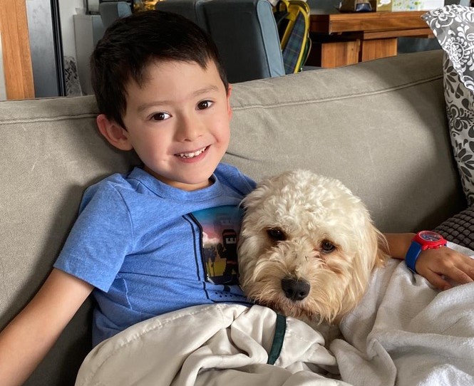 cavapoo and child