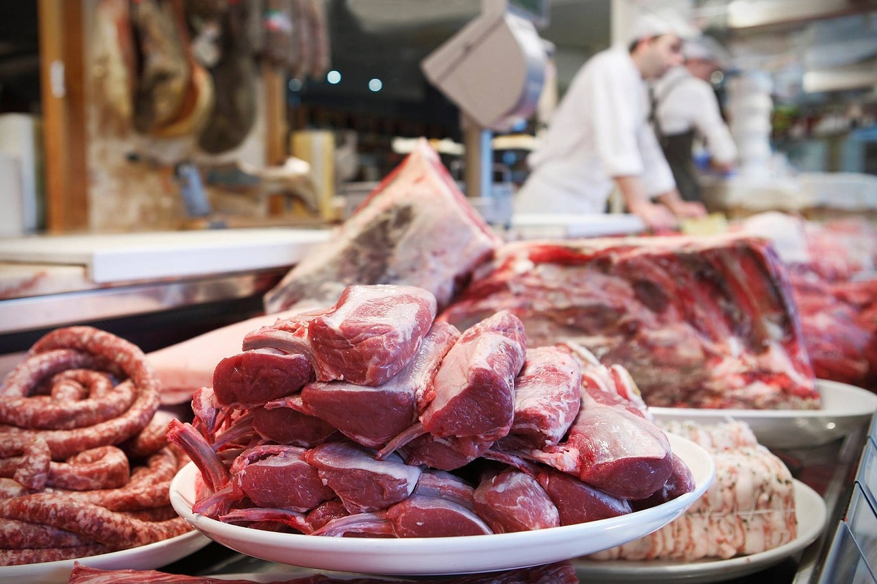 The BARF Diet and Healthy Bones