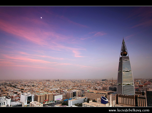 Saudi Arabia DOGS