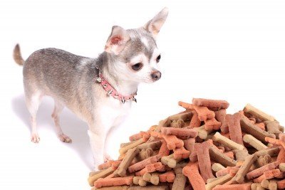 shutterstock_113928748