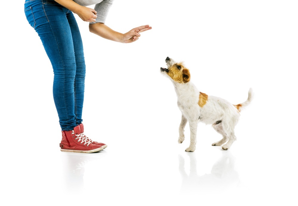 shutterstock_225390037