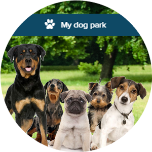 My Dog Park My Dog Park