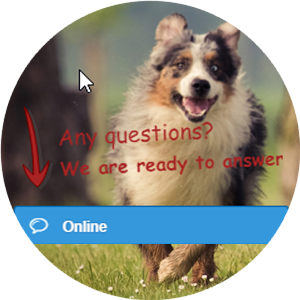 Live chat Live chat