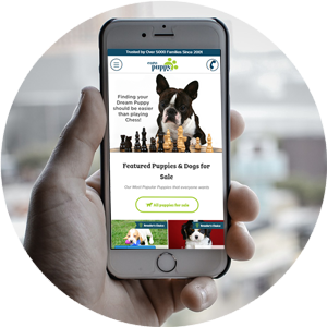 Mobile Friendly Webpage Mobile Friendly Webpage