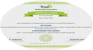 Responsible Dog Owner Certificate