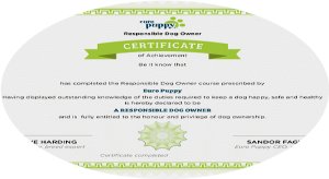 Responsible Dog Owner Certificate Responsible Dog Owner Certificate