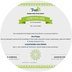 Responsible Dog Owner Certificate Responsible Dog Owner Certificate