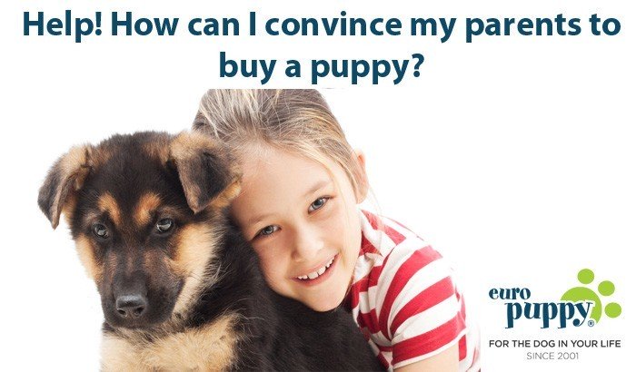 How can i buy euros